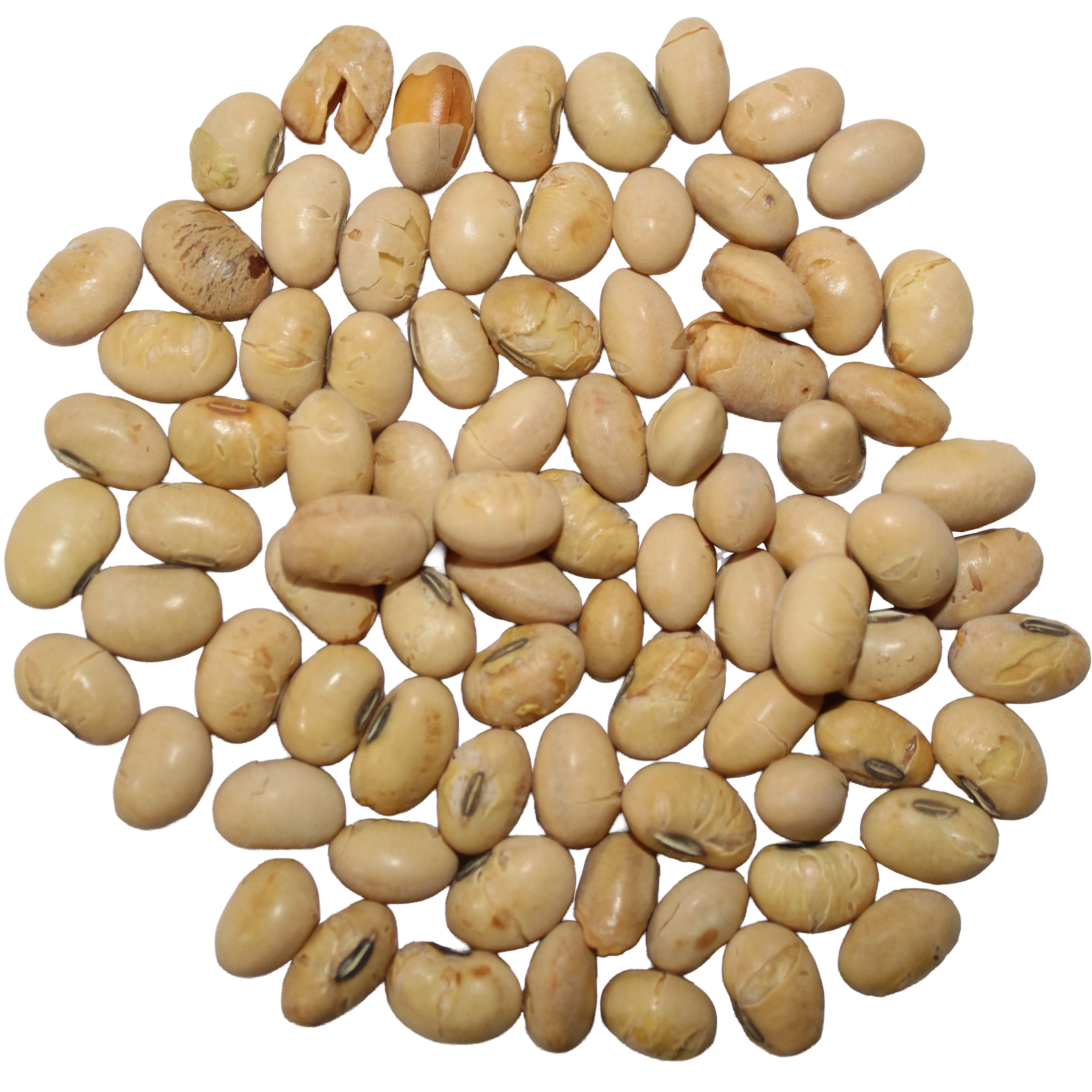 Soya