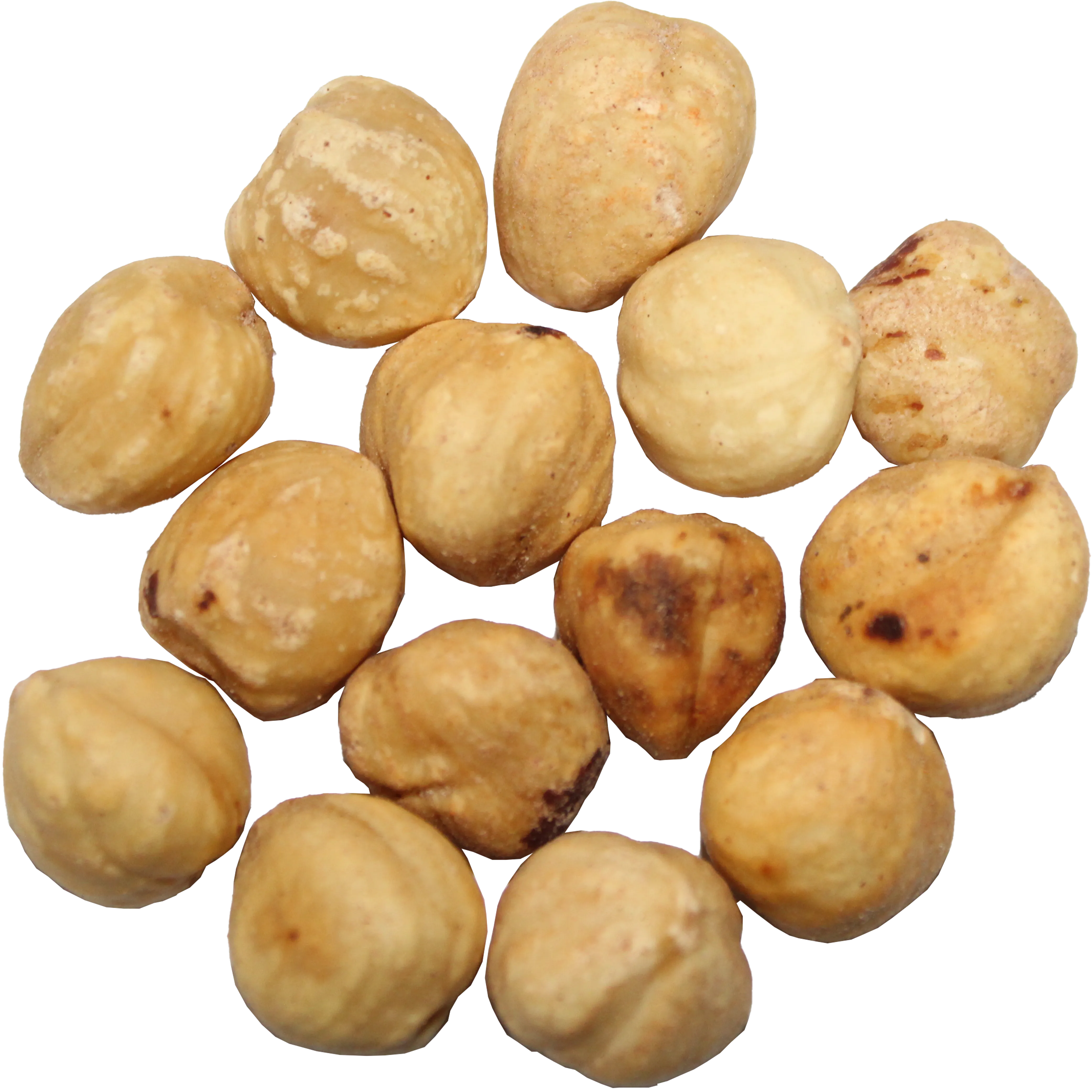 hazelnut